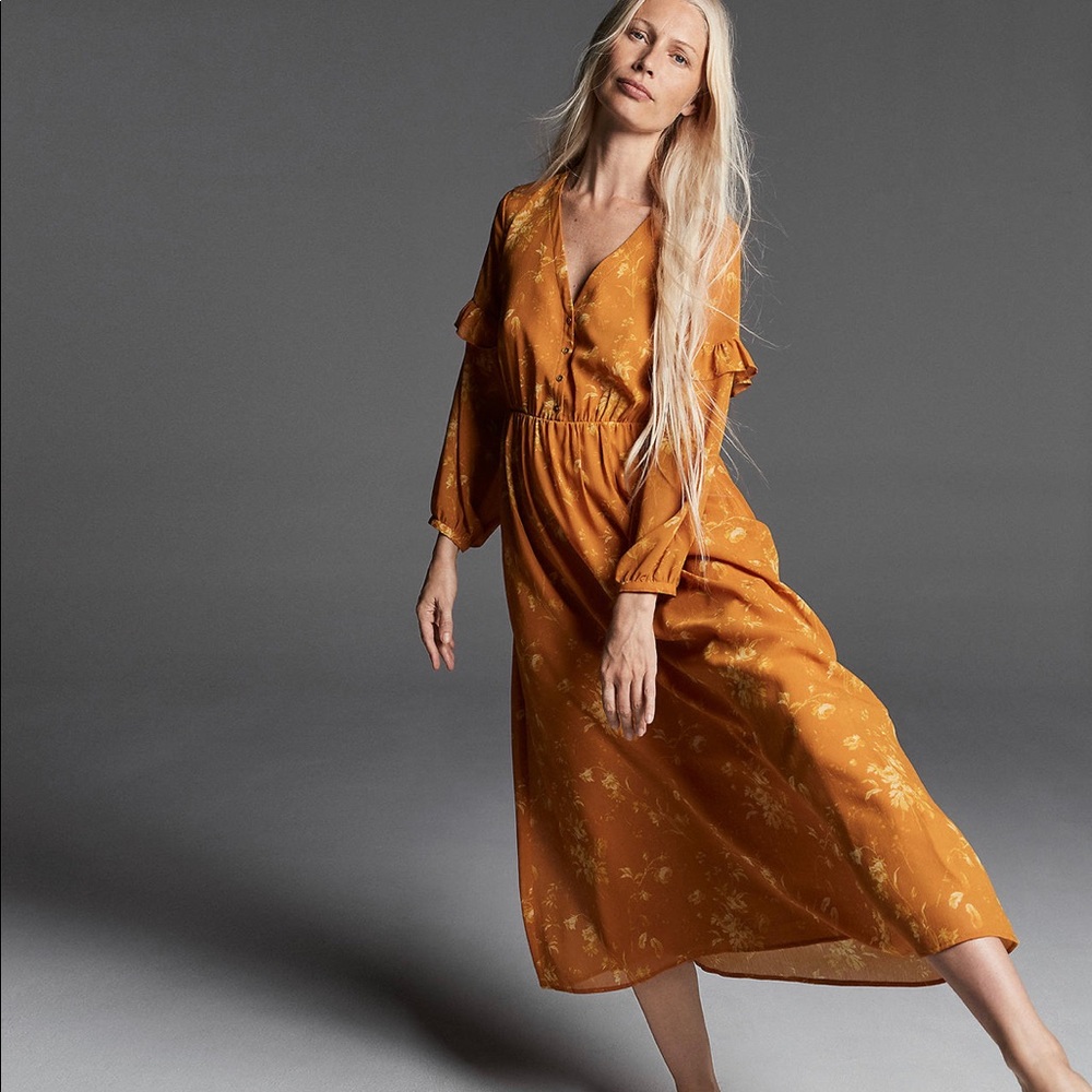 Madewell Ruffle-Sleeve, Button-Front Dress